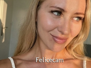 Felicecam