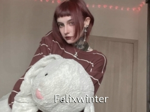 Felixwinter