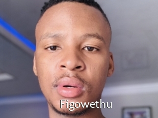 Figowethu