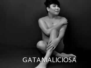 GATAMALICIOSA