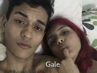 Gale