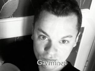 Gayminet