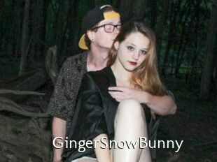 GingerSnowBunny