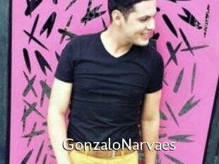 GonzaloNarvaes