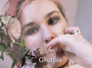 Grothia