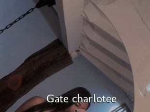Gate_charlotee