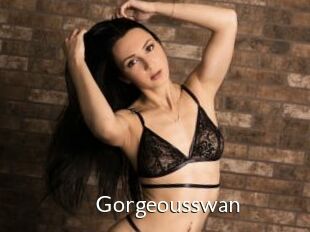 Gorgeousswan