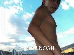 HOT_NOAH