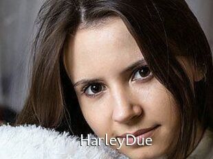 Harley_Due