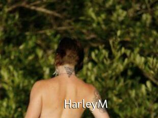 HarleyM
