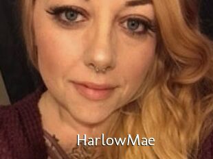 Harlow_Mae