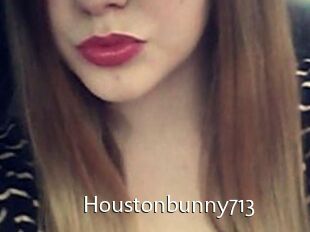 Houstonbunny713