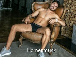 Hamermusk