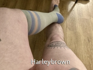 Harleybrown