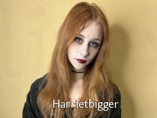 Harrietbigger