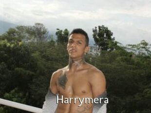 Harrymera