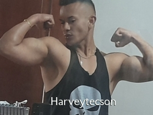 Harveytecson