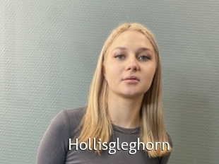 Hollisgleghorn