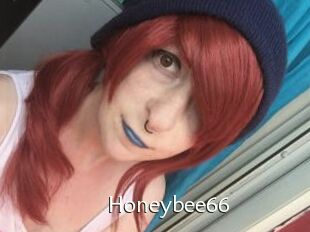 Honeybee66