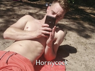 Hornycock