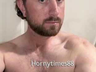 Hornytimes88