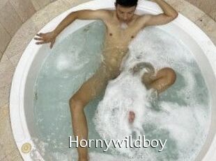 Hornywildboy