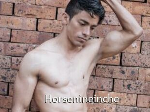Horsenineinche