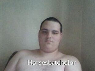 Horsesbatchelor