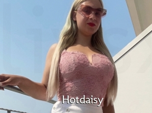 Hotdaisy