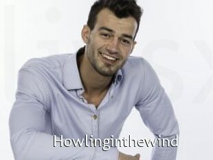 Howlinginthewind