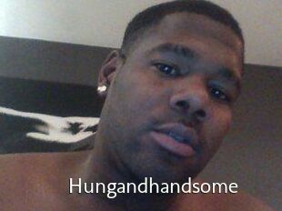 Hungandhandsome
