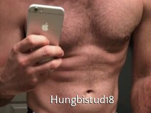 Hungbistud18