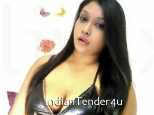 IndianTender4u