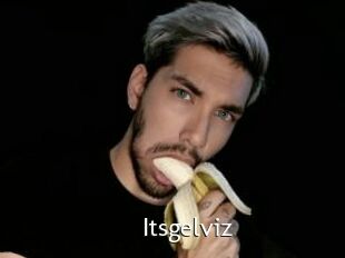 Itsgelviz