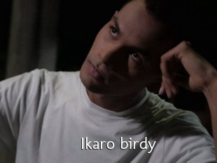 Ikaro_birdy