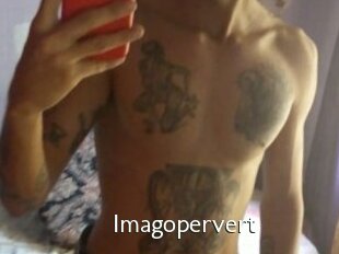 Imagopervert