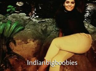 Indianbigboobies