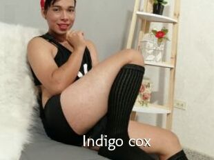 Indigo_cox