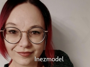 Inezmodel