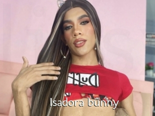 Isadora_bunny