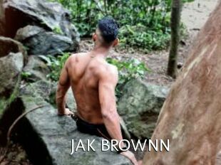JAK_BROWNN