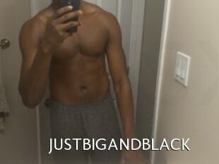 JUSTBIGANDBLACK