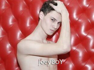 JoeyB0Y