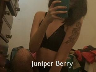 Juniper_Berry