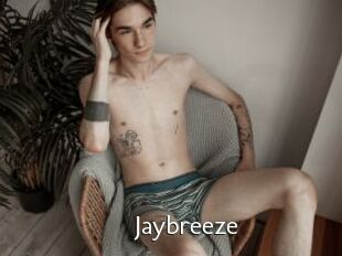 Jaybreeze