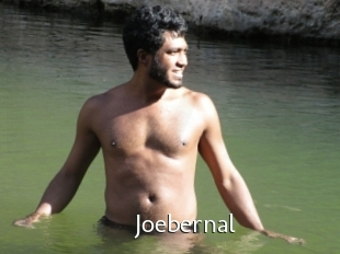 Joebernal