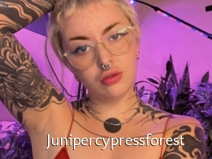 Junipercypressforest