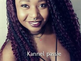 Kannel_passie