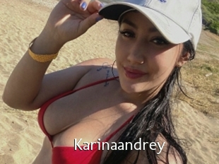 Karinaandrey