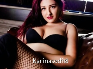 Karinasodi18